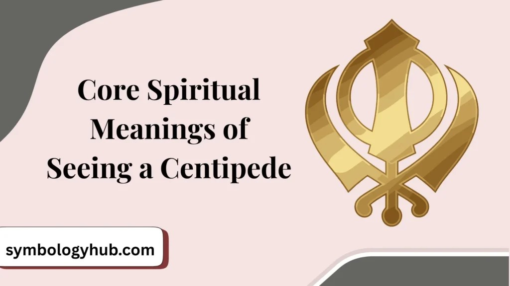 Core Spiritual Meanings of Seeing a Centipede