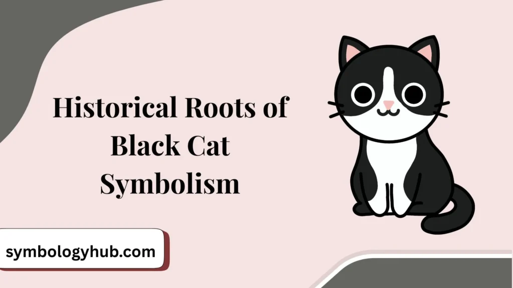 Historical Roots of Black Cat Symbolism