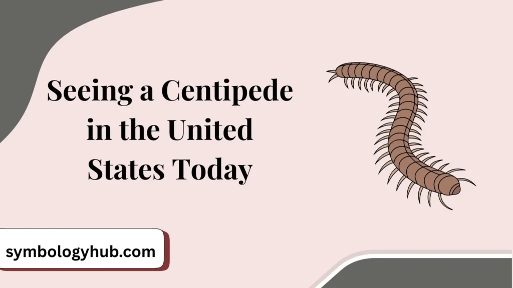 Seeing a Centipede in the United States Today