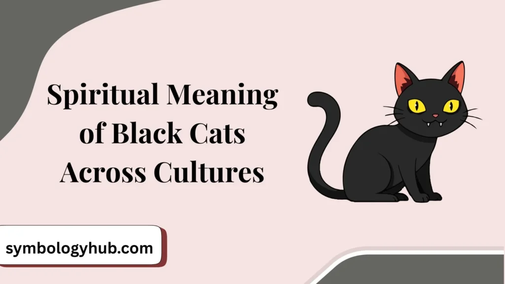 Spiritual Meaning of Black Cats Across Cultures