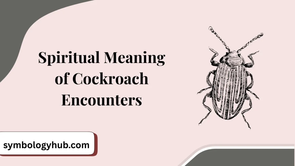Spiritual Meaning of Cockroach Encounters
