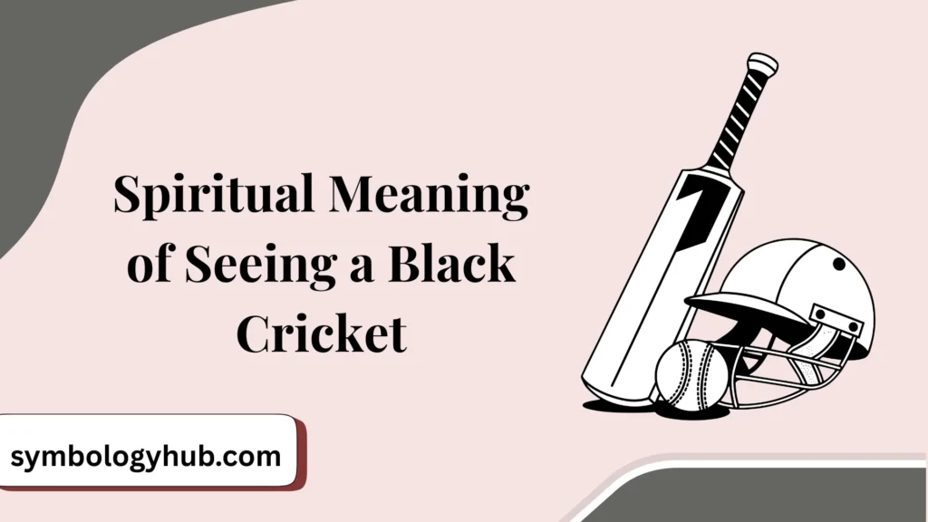 Spiritual Meaning of Seeing a Black Cricket