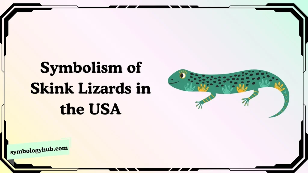 Symbolism of Skink Lizards in the USA