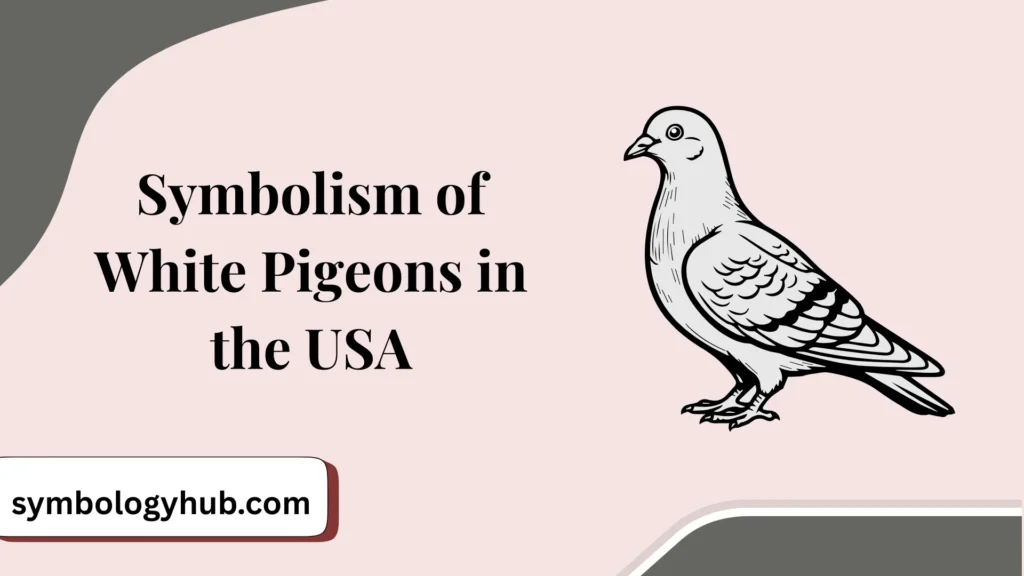 Symbolism of White Pigeons in the USA