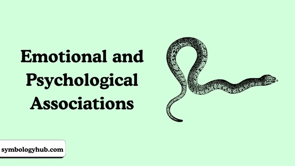 Emotional and Psychological Associations