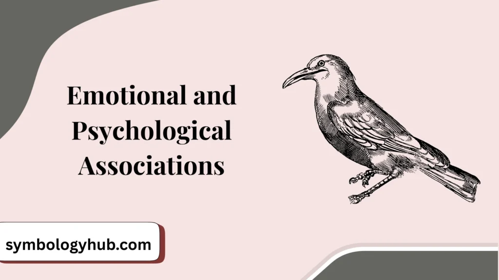 Emotional and Psychological Associations