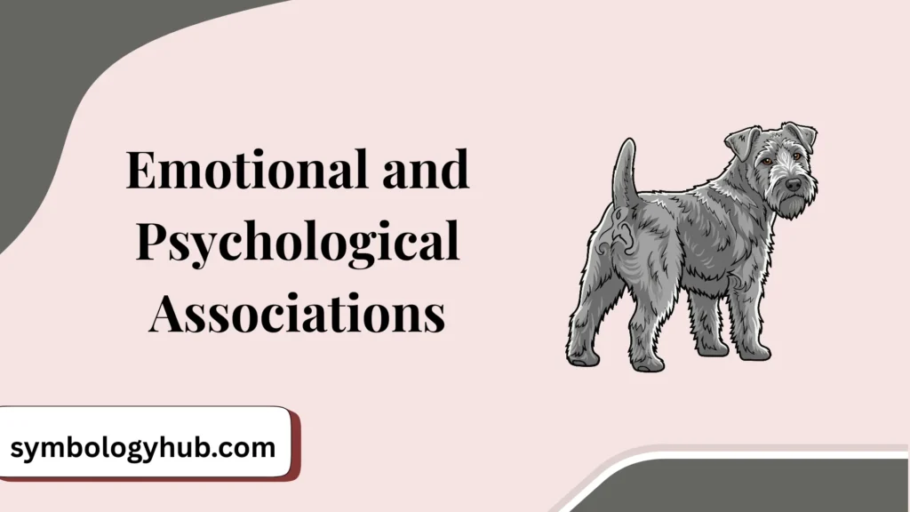 Emotional and Psychological Associations