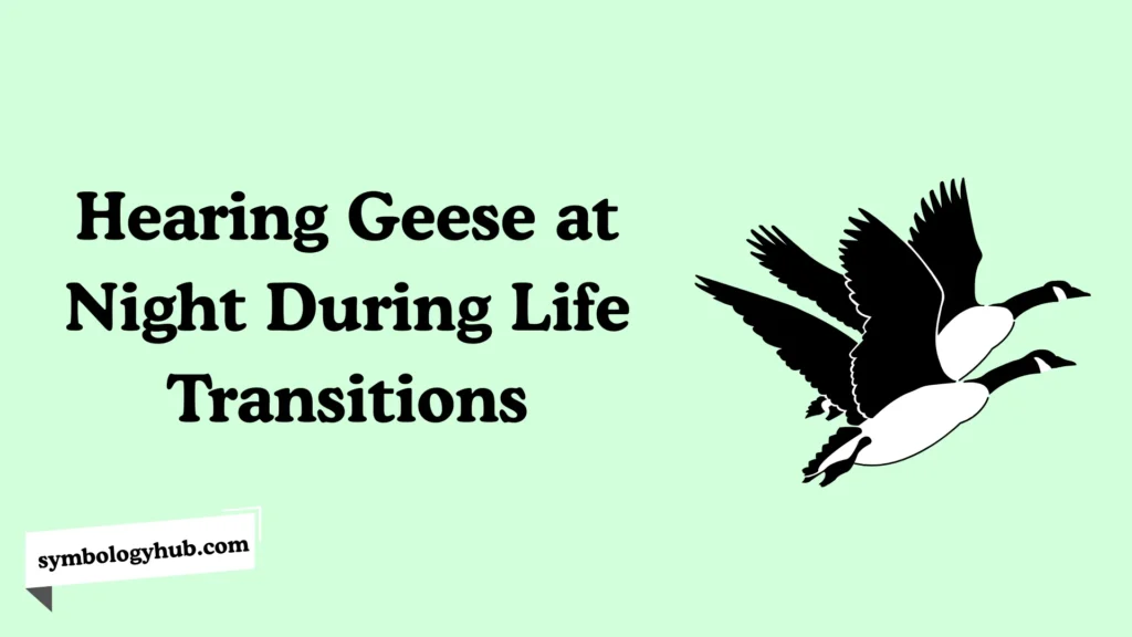 Hearing Geese at Night During Life Transitions