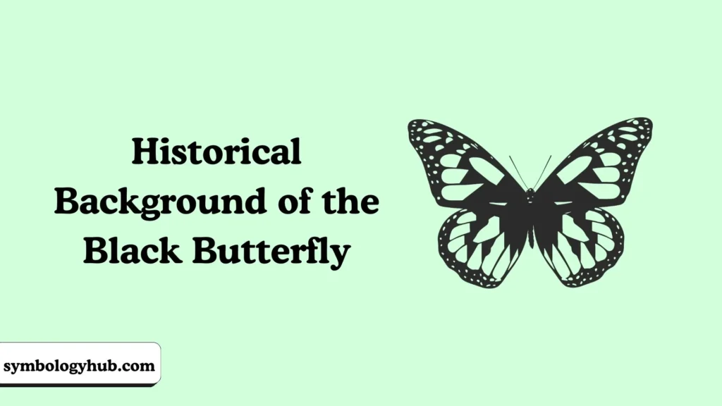 Historical Background of the Black Butterfly