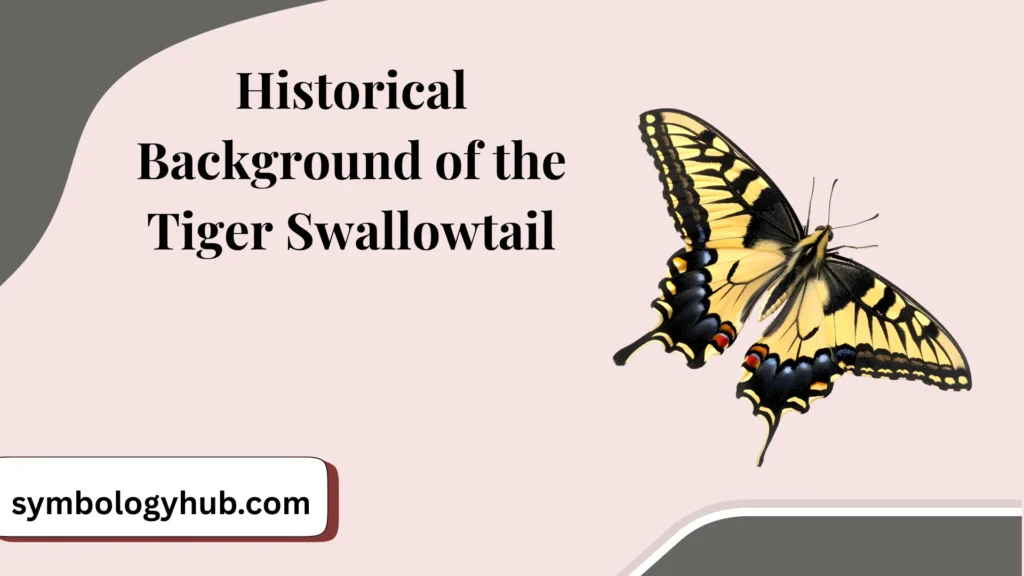 Historical Background of the Tiger Swallowtail
