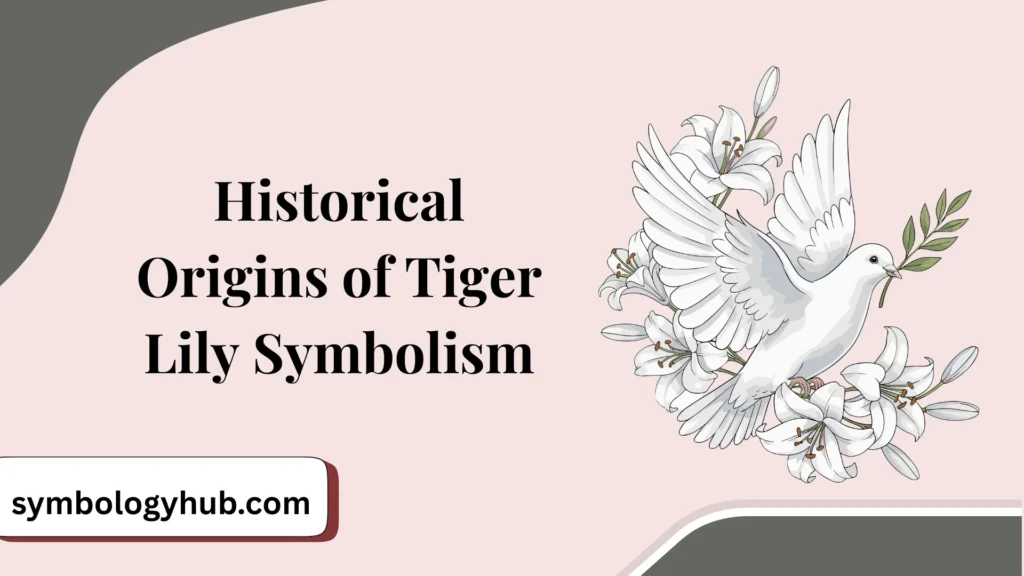 Historical Origins of Tiger Lily Symbolism