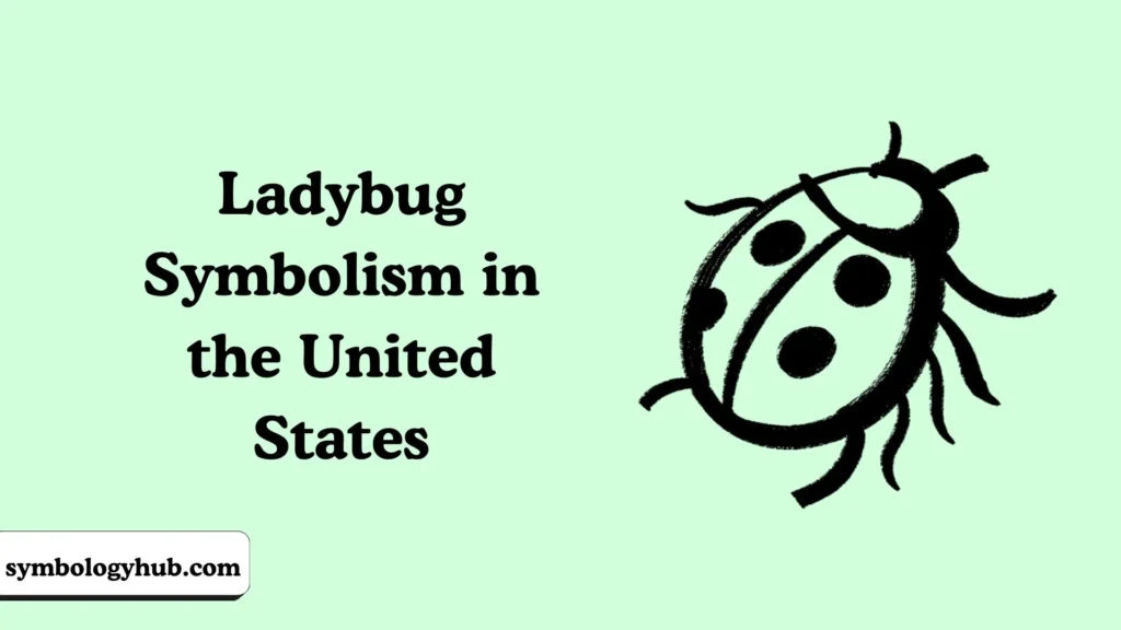 Ladybug Symbolism in the United States