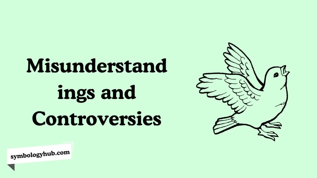 Misunderstandings and Controversies