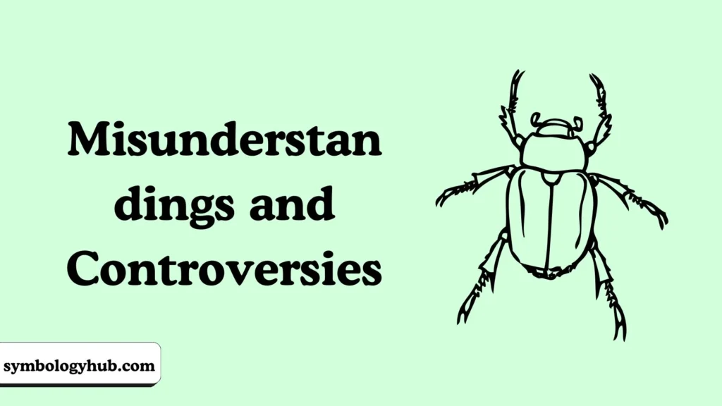Misunderstandings and Controversies