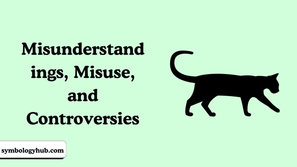 Misunderstandings, Misuse, and Controversies