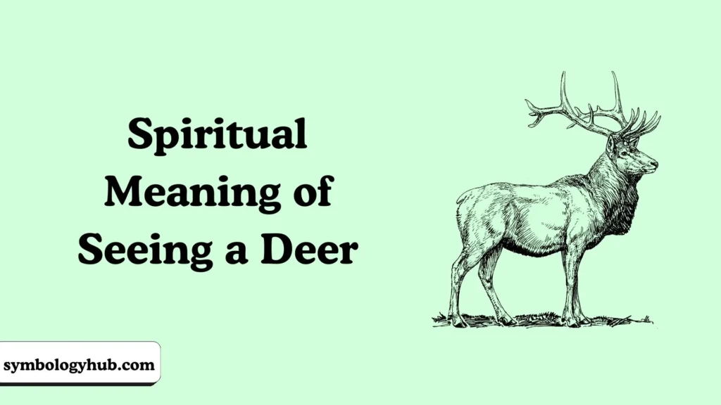 Spiritual Meaning of Seeing a Deer