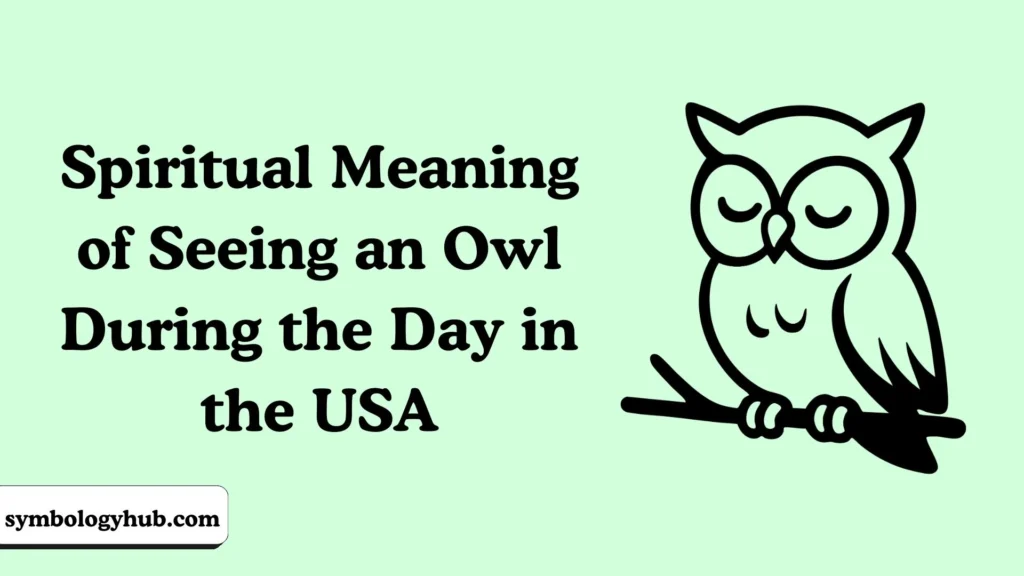 Spiritual Meaning of Seeing an Owl During the Day in the USA