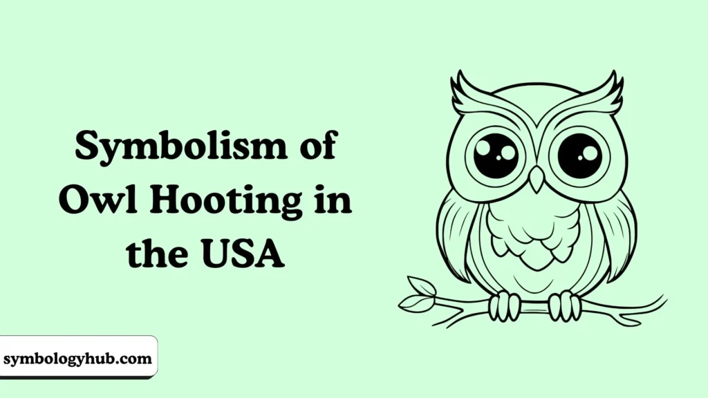 Symbolism of Owl Hooting in the USA