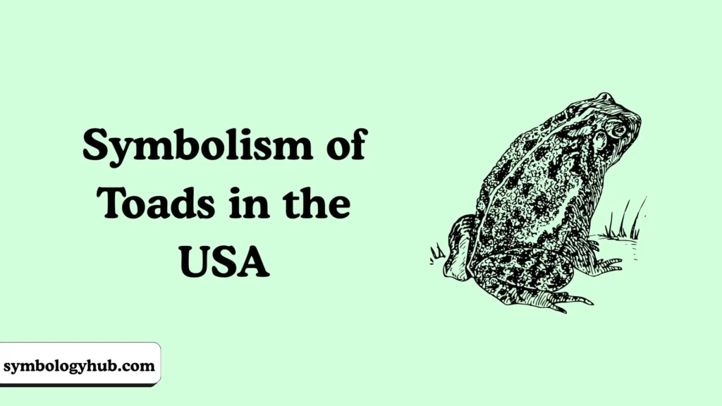Symbolism of Toads in the USA
