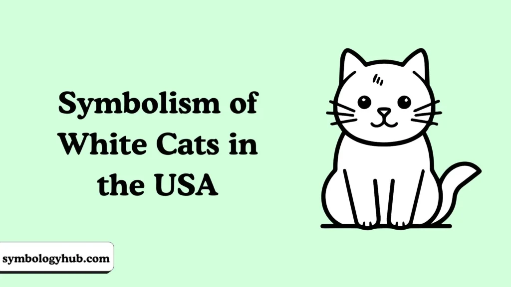 Symbolism of White Cats in the USA