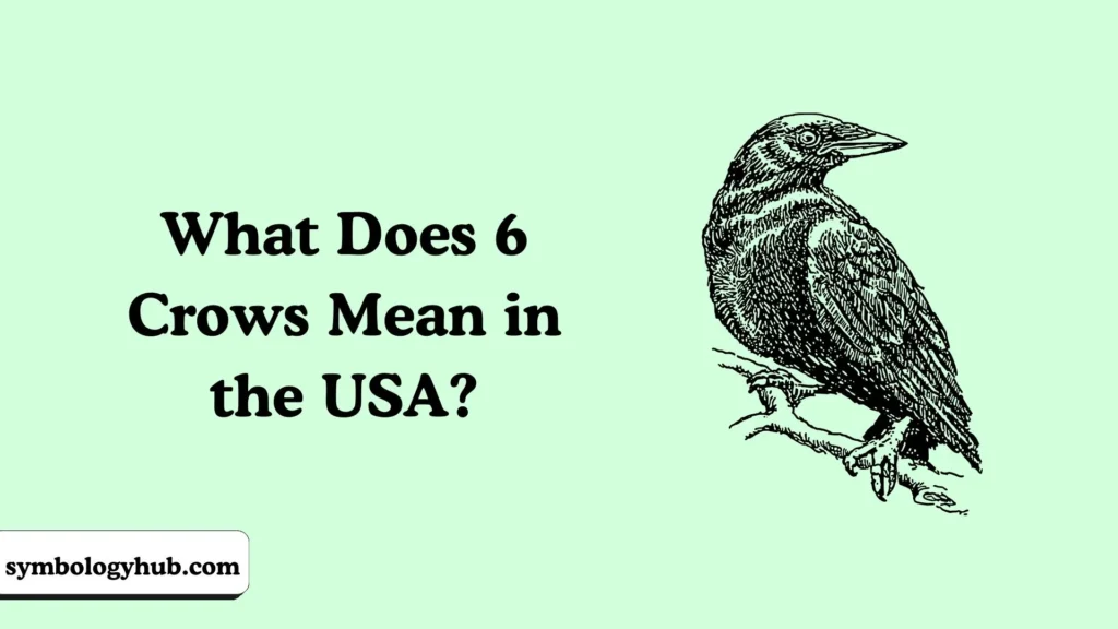 What Does 6 Crows Mean in the USA?