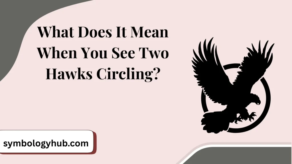 What Does It Mean When You See Two Hawks Circling?