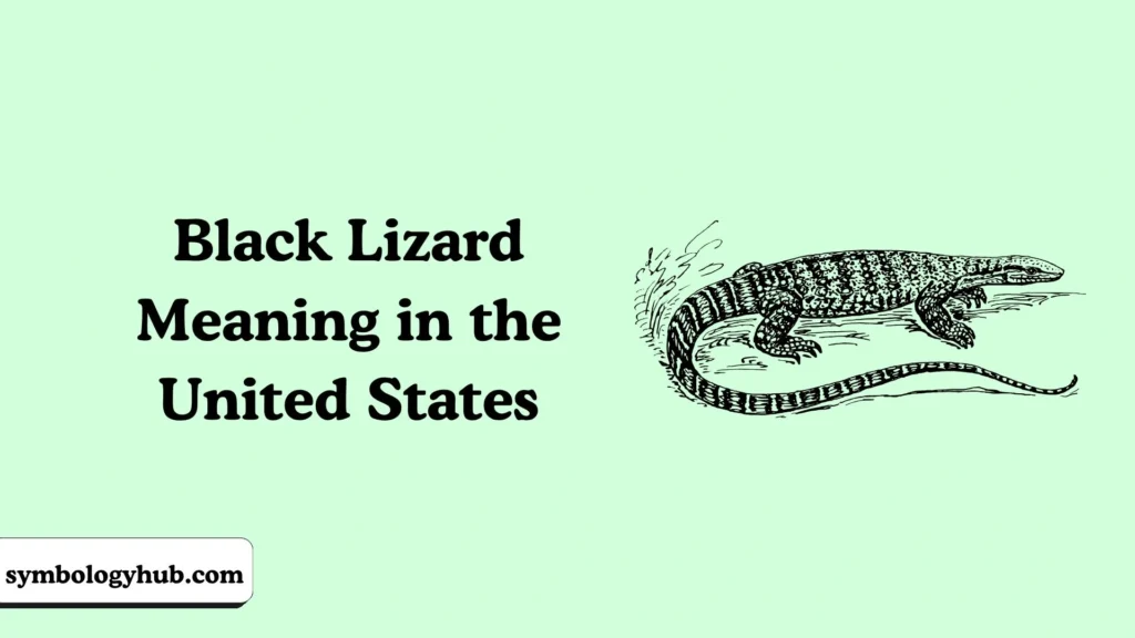 Black Lizard Meaning in the United States