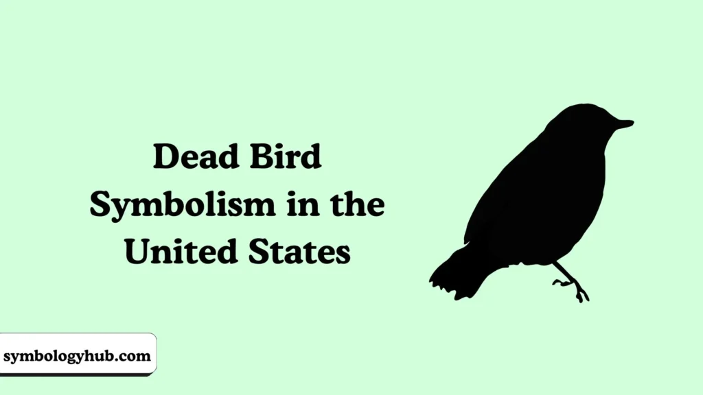 Dead Bird Symbolism in the United States