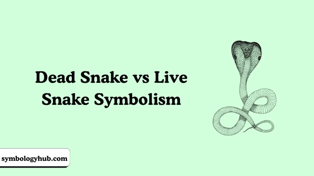 Dead Snake vs Live Snake Symbolism