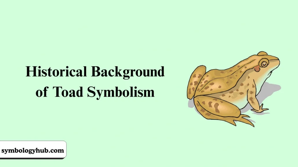 Historical Background of Toad Symbolism