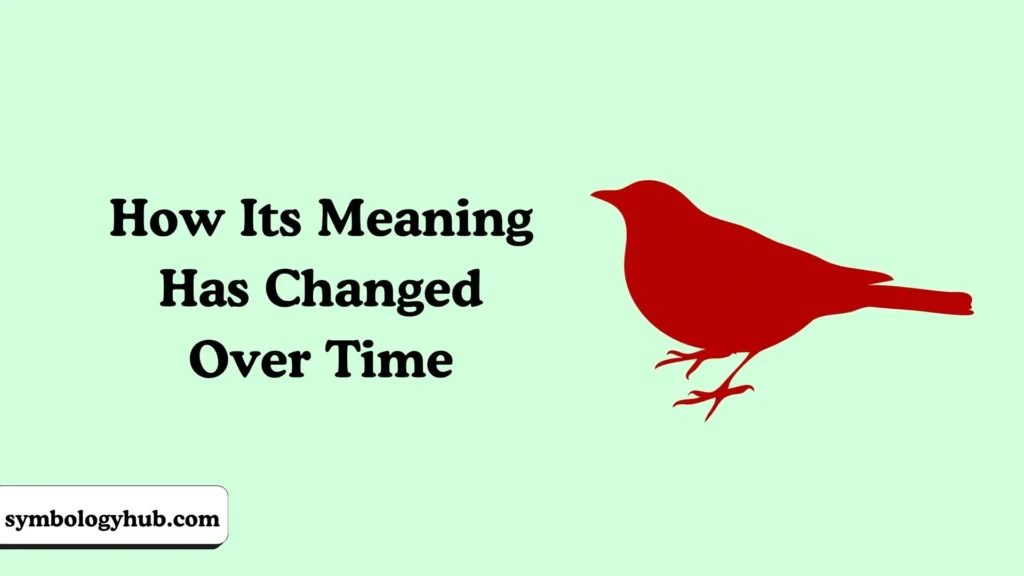 How Its Meaning Has Changed Over Time