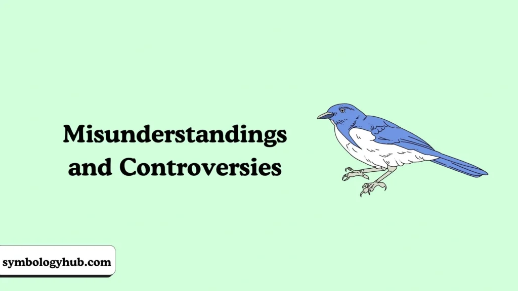 Misunderstandings and Controversies