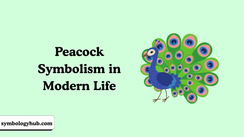 Peacock Symbolism in Modern Life