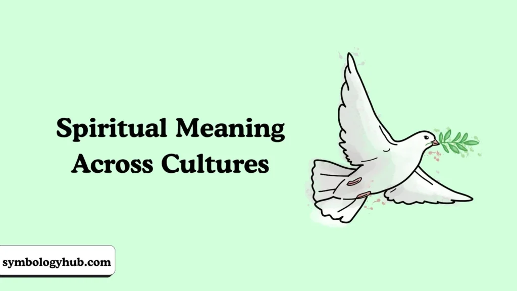 Spiritual Meaning Across Cultures