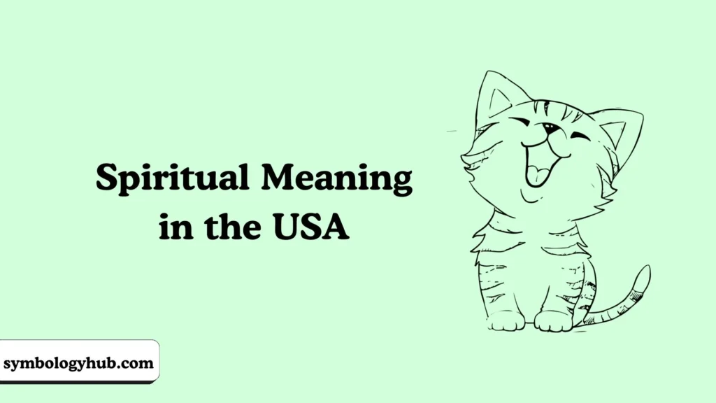 Spiritual Meaning in the USA