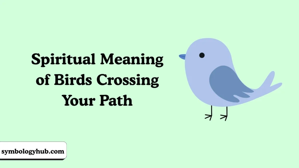 Spiritual Meaning of Birds Crossing Your Path