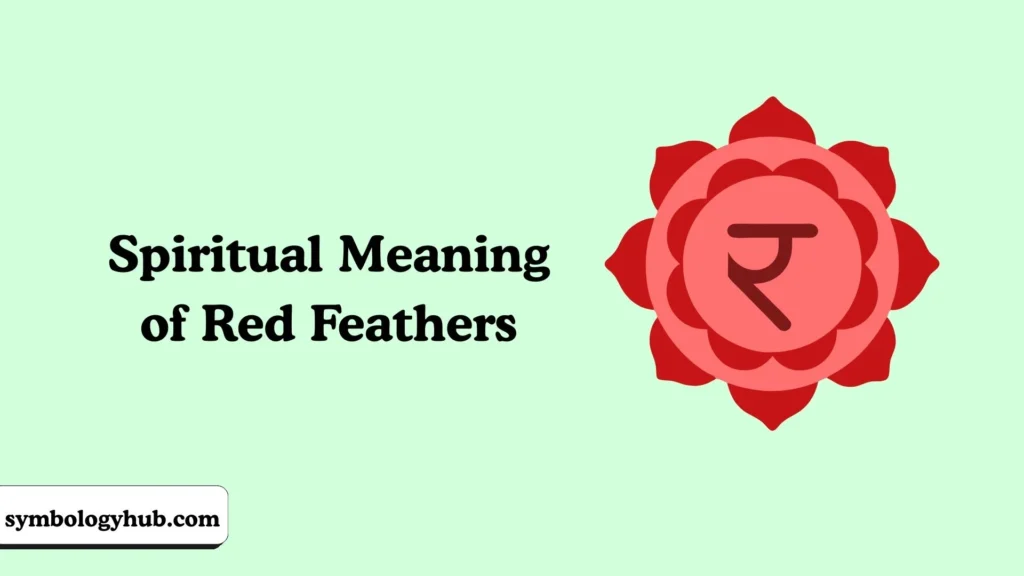 Spiritual Meaning of Red Feathers