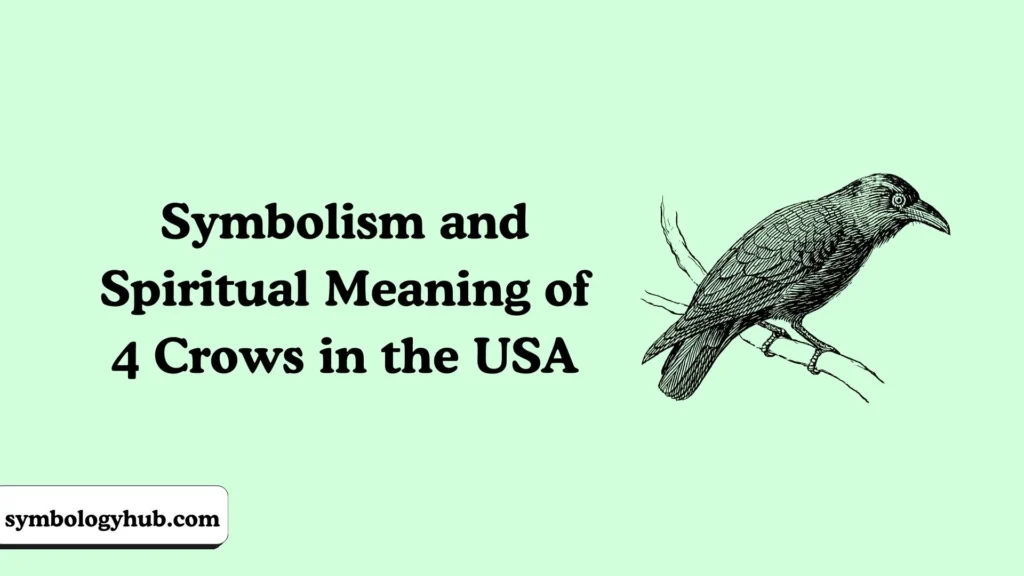 Symbolism and Spiritual Meaning of 4 Crows in the USA