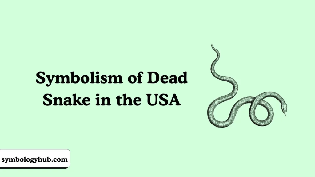 Symbolism of Dead Snake in the USA
