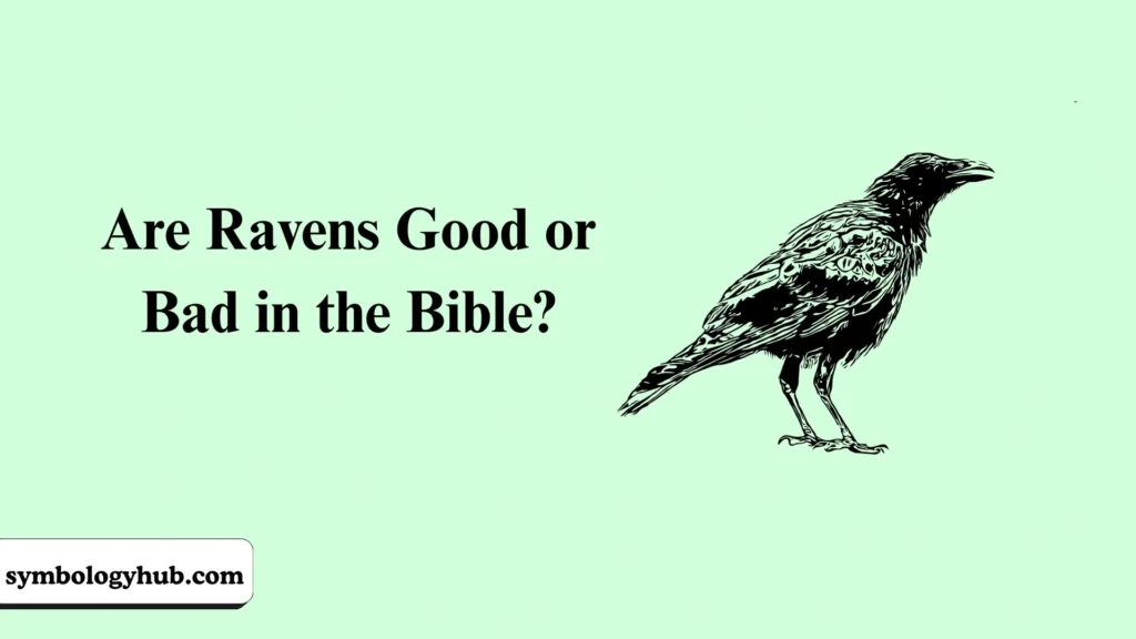 Are Ravens Good or Bad in the Bible?