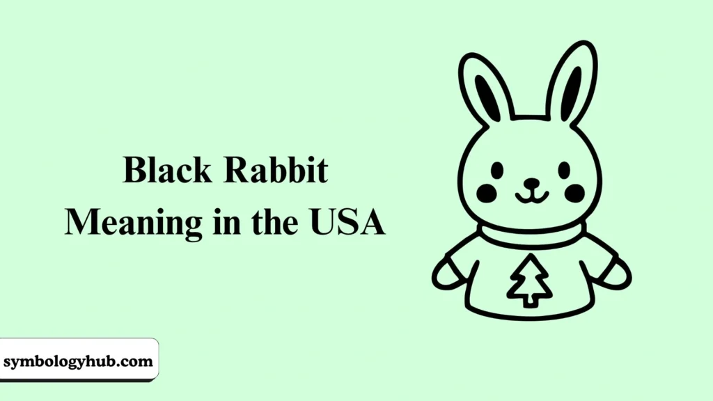 Black Rabbit Meaning in the USA