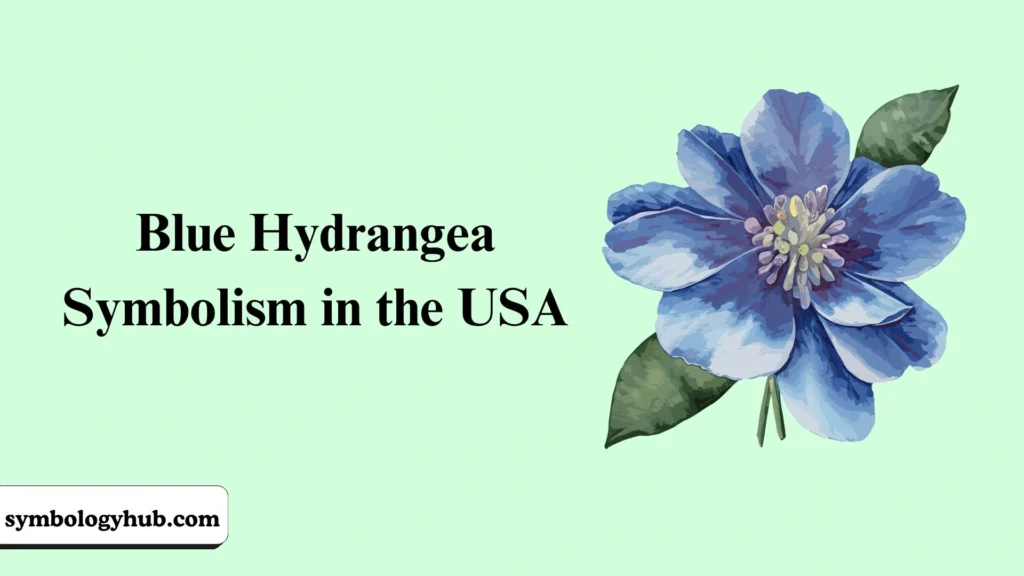 Blue Hydrangea Symbolism in the USA