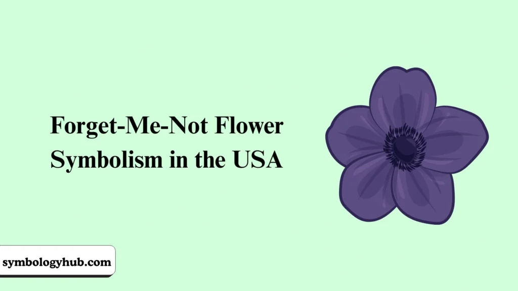 Forget-Me-Not Flower Symbolism in the USA