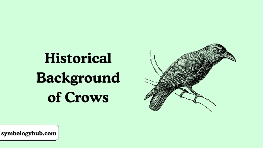 Historical Background of Crows