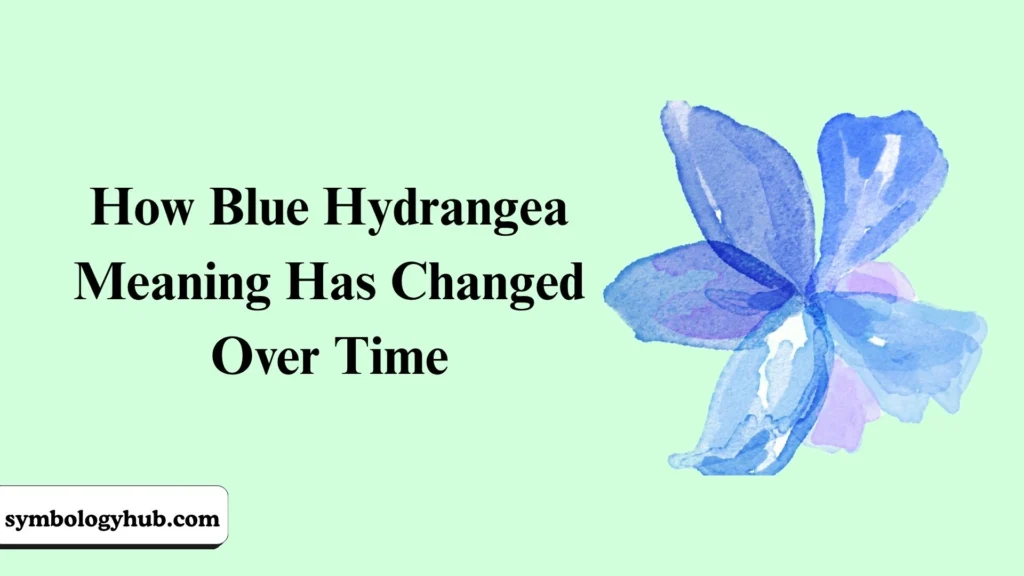 How Blue Hydrangea Meaning Has Changed Over Time