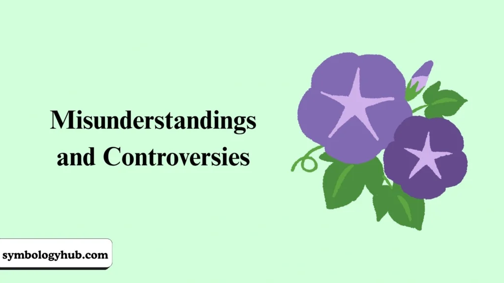 Misunderstandings and Controversies