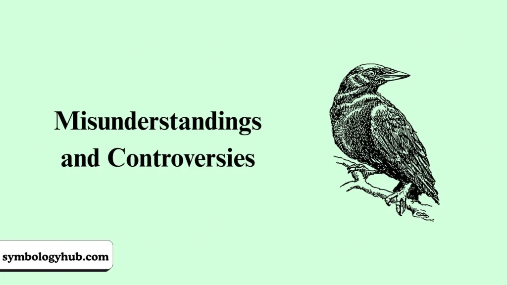 Misunderstandings and Controversies