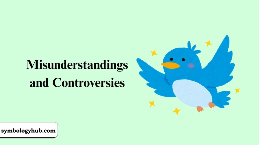 Misunderstandings and Controversies