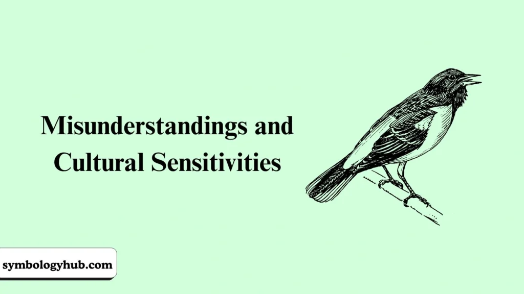 Misunderstandings and Cultural Sensitivities