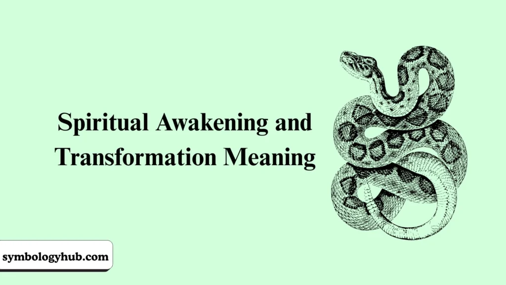 Spiritual Awakening and Transformation Meaning